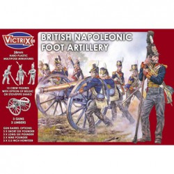 Napoleonic British Foot...
